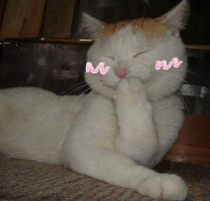 Meet your Posher, Net